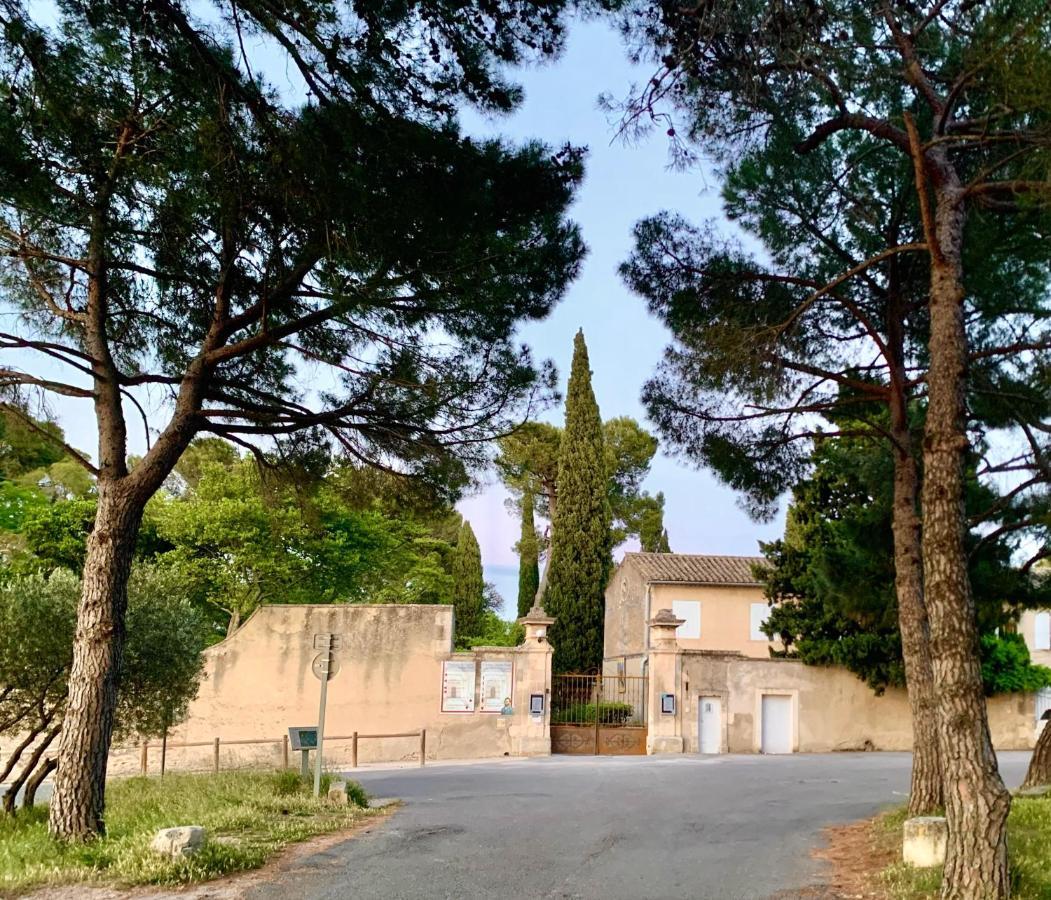L'alpille: St-rémy Vacation With Private Parking