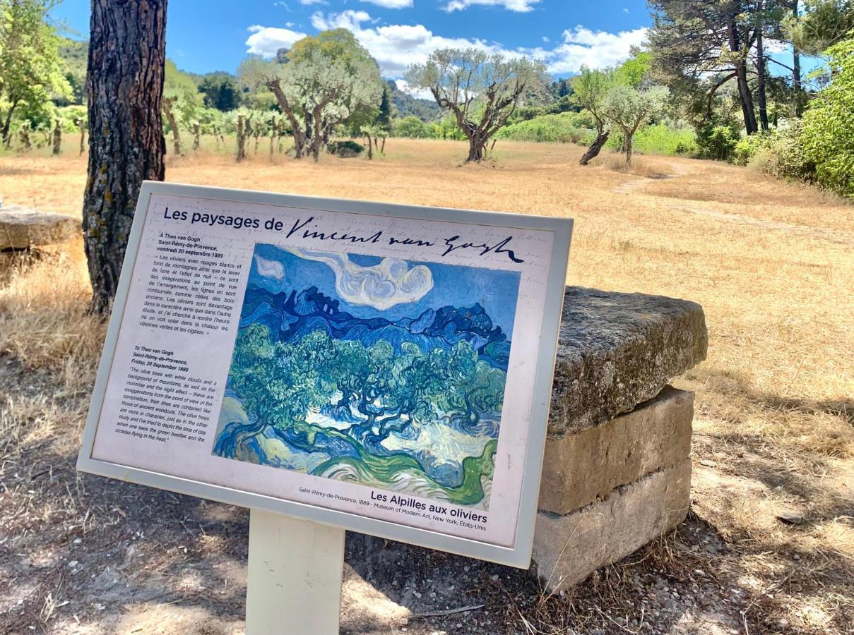 Сasa de vacaciones L'alpille, à 10 Minutes à Pied Du Centre De St Rémy De Provence, Proche D'arles