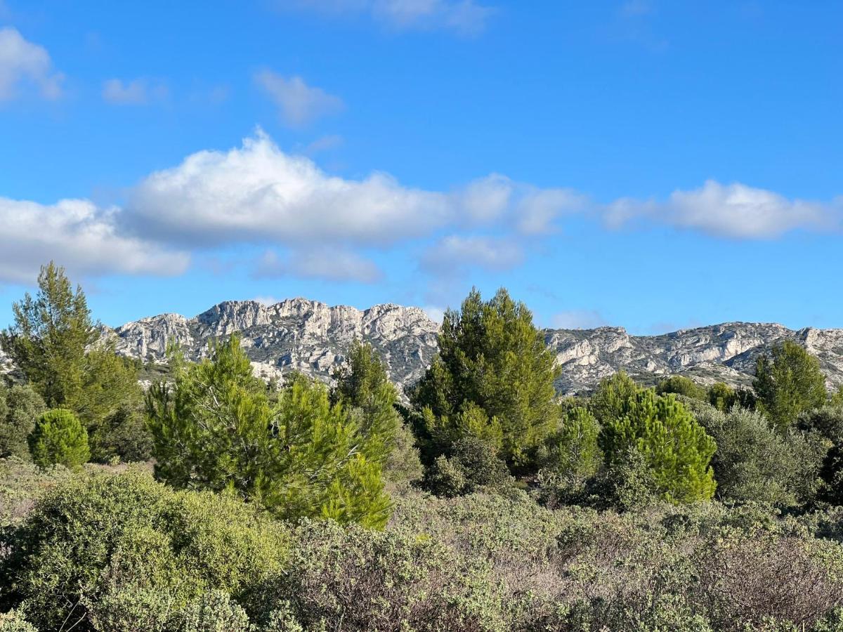 L'alpille, à 10 Minutes à Pied Du Centre De St Rémy De Provence, Proche D'arles